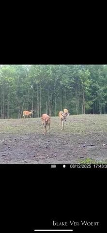 13980 12 Mile, Remus, MI 49340