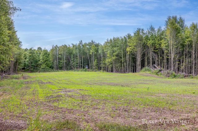 13980 12 Mile, Remus, MI 49340