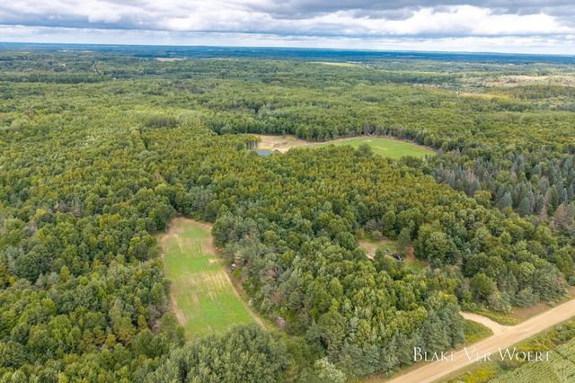 13980 12 Mile, Remus, MI 49340