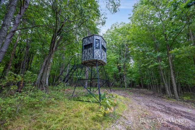13980 12 Mile, Remus, MI 49340