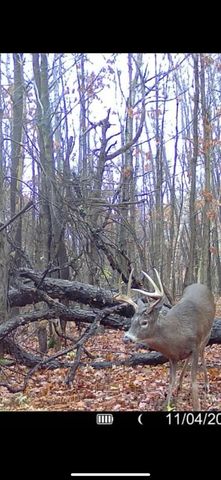 13980 12 Mile, Remus, MI 49340