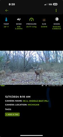 13980 12 Mile, Remus, MI 49340