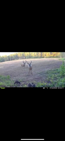 13980 12 Mile, Remus, MI 49340