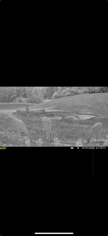 13980 12 Mile, Remus, MI 49340