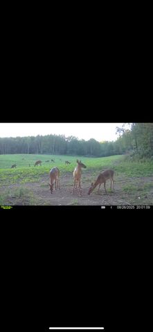 13980 12 Mile, Remus, MI 49340