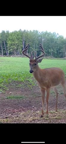 13980 12 Mile, Remus, MI 49340