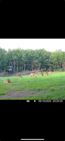 13980 12 Mile, Remus, MI 49340