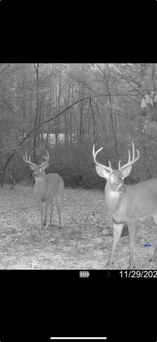 13980 12 Mile, Remus, MI 49340