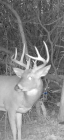 13980 12 Mile, Remus, MI 49340
