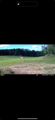 13980 12 Mile, Remus, MI 49340