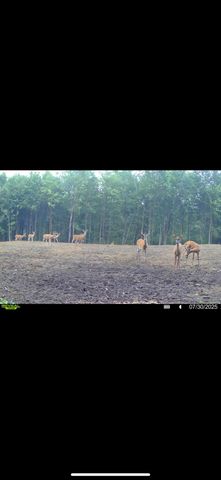 13980 12 Mile, Remus, MI 49340