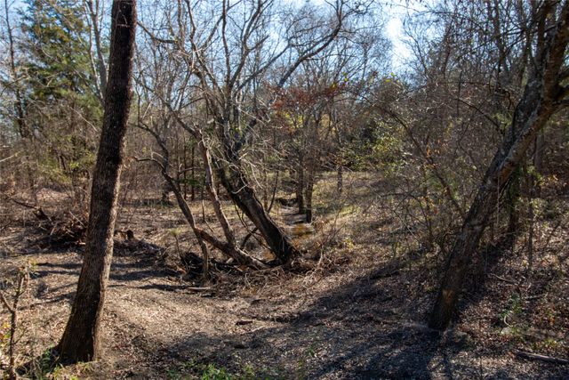 Lot 2 County Road 2905, Dodd City, TX 75438