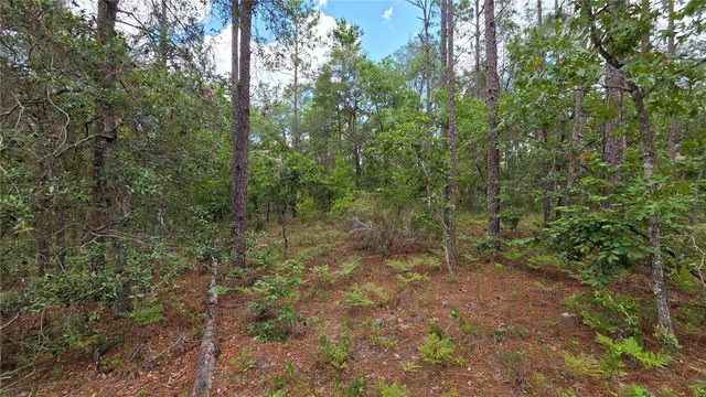 200 HOUR GLASS CIRCLE, Hawthorne, FL 32640