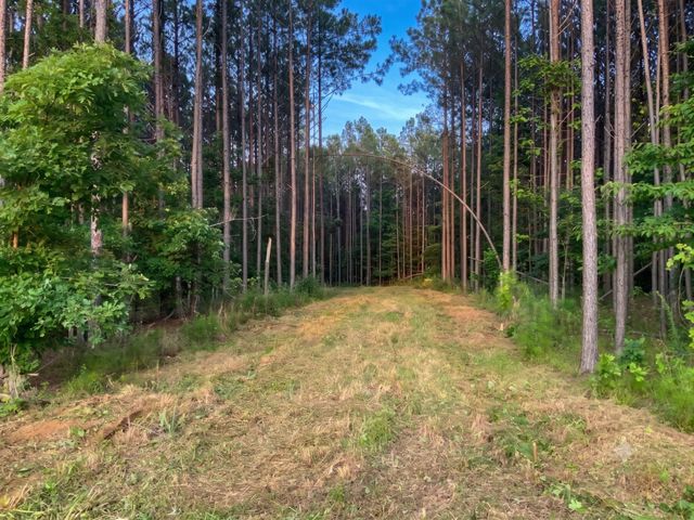 0 Adaleighs Way, Big Sandy, TN 38221