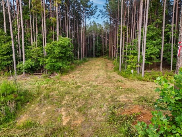 0 Adaleighs Way, Big Sandy, TN 38221