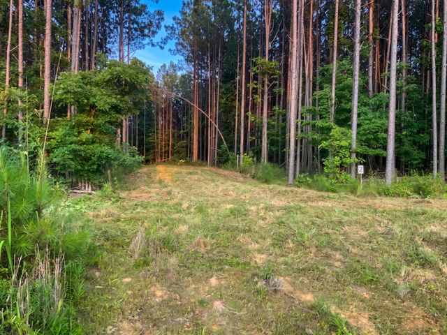 0 Adaleighs Way, Big Sandy, TN 38221