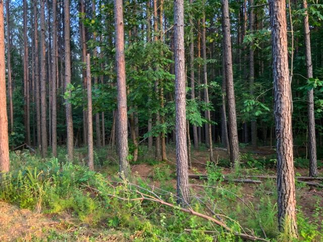 0 Adaleighs Way, Big Sandy, TN 38221