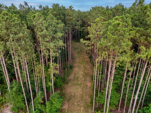 0 Adaleighs Way, Big Sandy, TN 38221