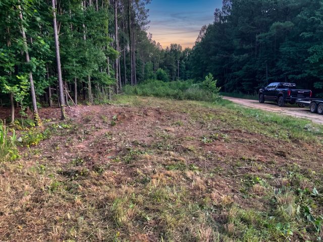0 Adaleighs Way, Big Sandy, TN 38221