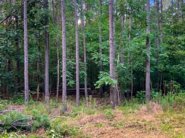 0 Adaleighs Way, Big Sandy, TN 38221