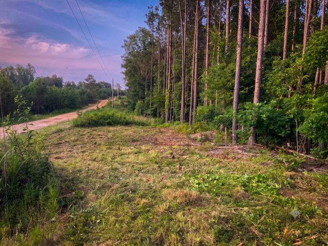 0 Adaleighs Way, Big Sandy, TN 38221