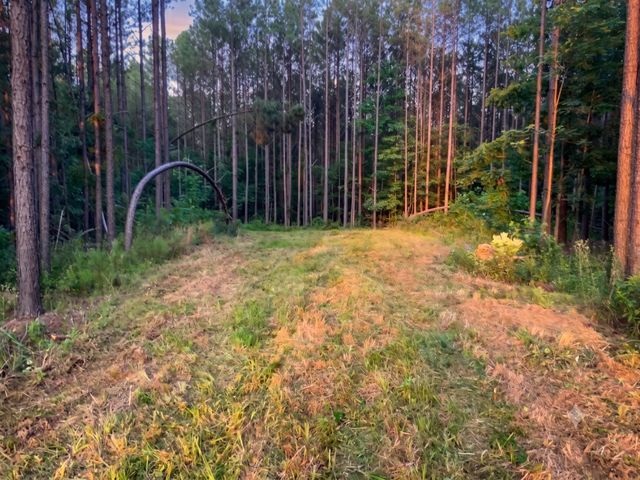 0 Adaleighs Way, Big Sandy, TN 38221