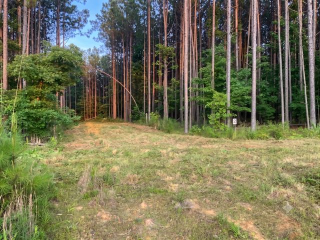 0 Adaleighs Way, Big Sandy, TN 38221