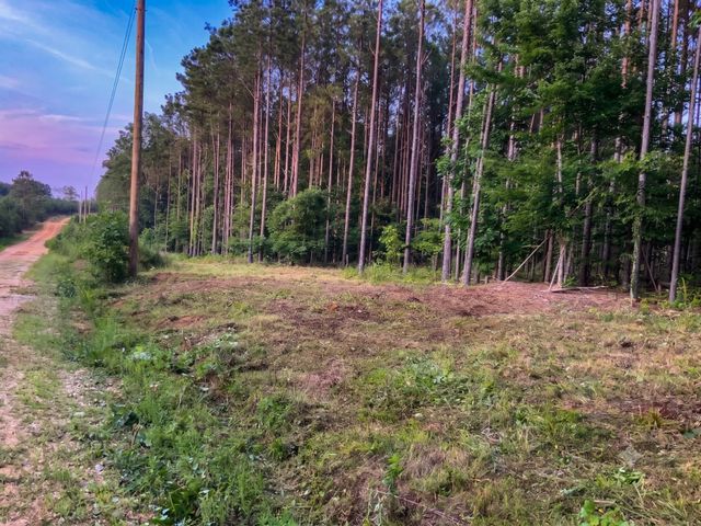0 Adaleighs Way, Big Sandy, TN 38221