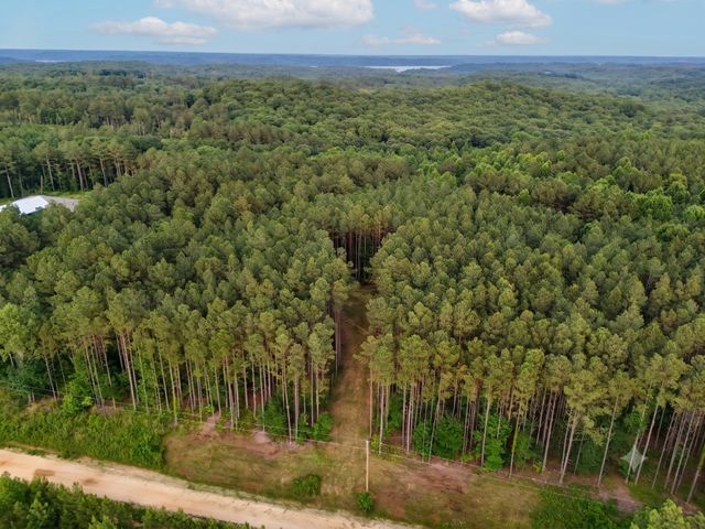 0 Adaleighs Way, Big Sandy, TN 38221
