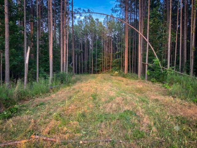 0 Adaleighs Way, Big Sandy, TN 38221