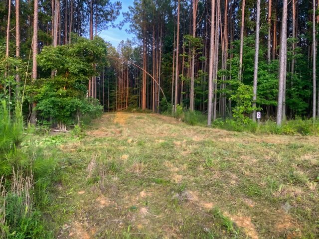 0 Adaleighs Way, Big Sandy, TN 38221