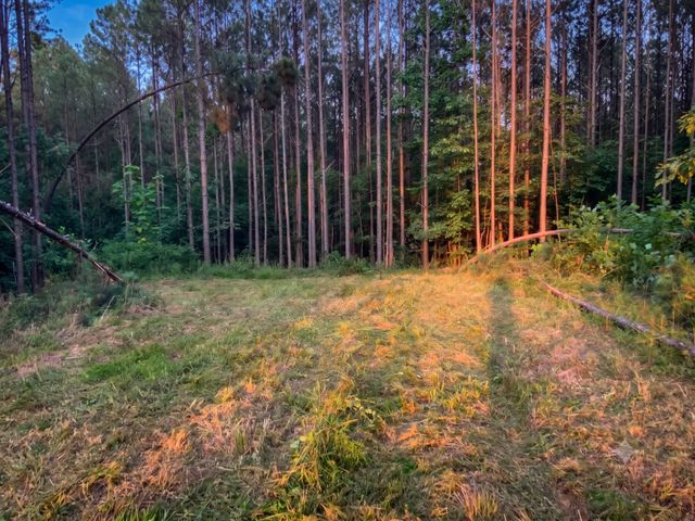 0 Adaleighs Way, Big Sandy, TN 38221