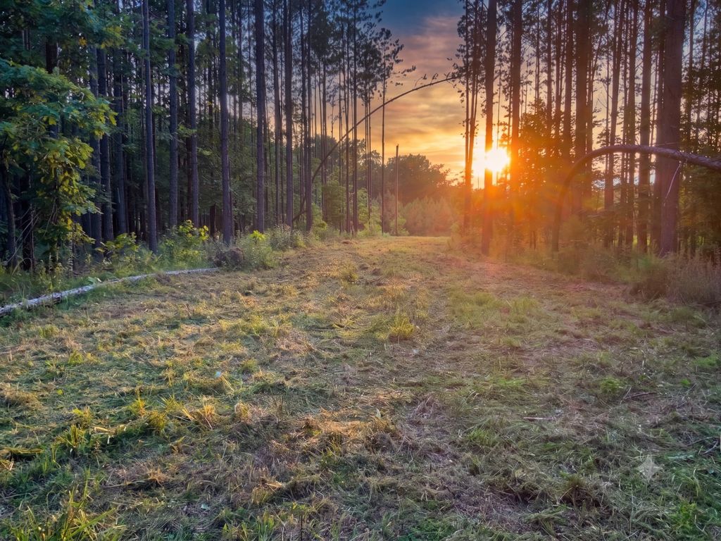 0 Adaleighs Way, Big Sandy, TN 38221