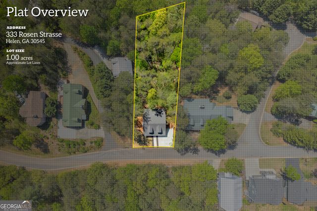333 Rosen Strasse, Helen, GA 30545
