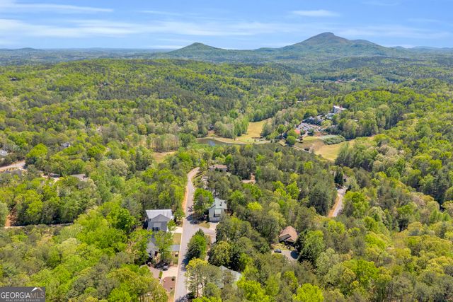 333 Rosen Strasse, Helen, GA 30545
