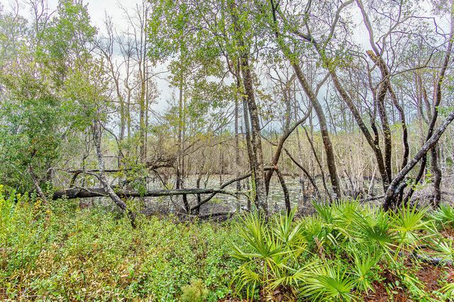 359 Wayne Trail, Santa Rosa Beach, FL 32459