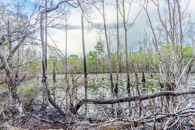 359 Wayne Trail, Santa Rosa Beach, FL 32459