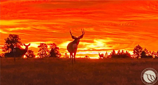 3919 High Trail ROAD, Billings, MT 59101