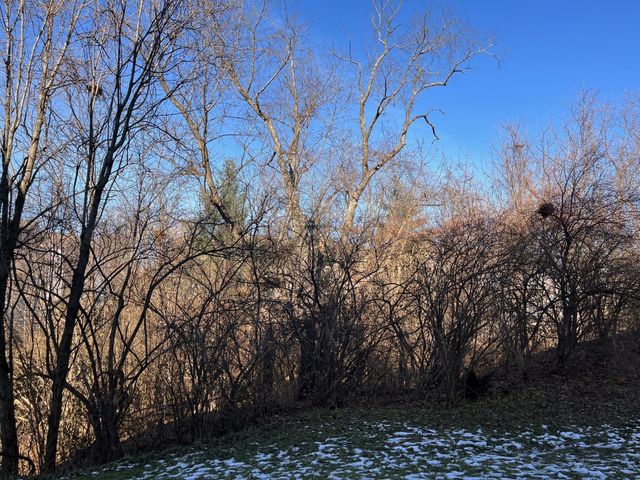 636 Morven Park Drive, 6A, Walton, KY 41094