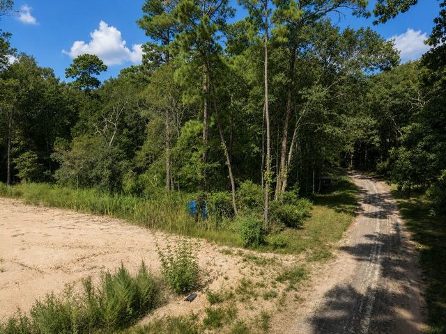 16383 Largent Drive, Plantersville, TX 77363