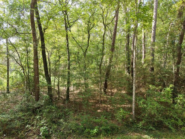 16383 Largent Drive, Plantersville, TX 77363