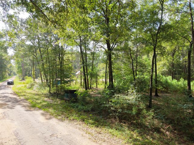 16383 Largent Drive, Plantersville, TX 77363