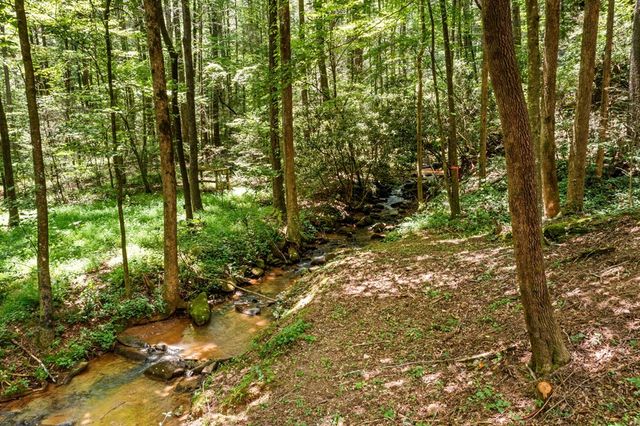 641 Bryant Farm Lane, Ellijay, GA 30540
