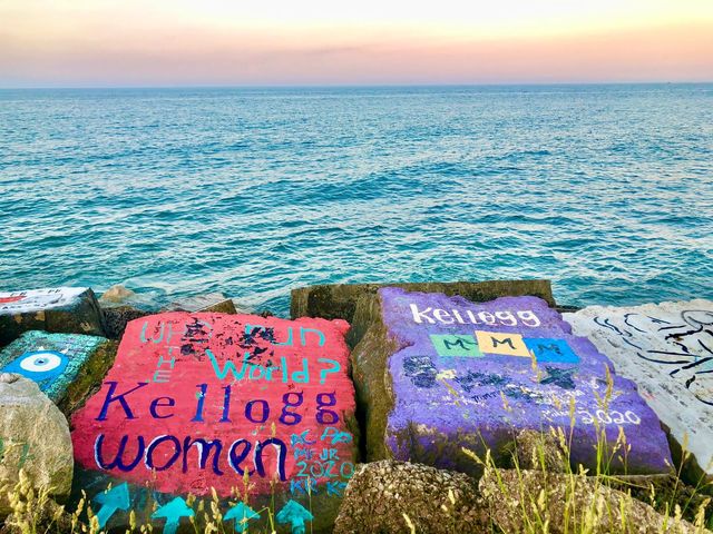 1720 Maple Avenue 780, Evanston, IL 60201