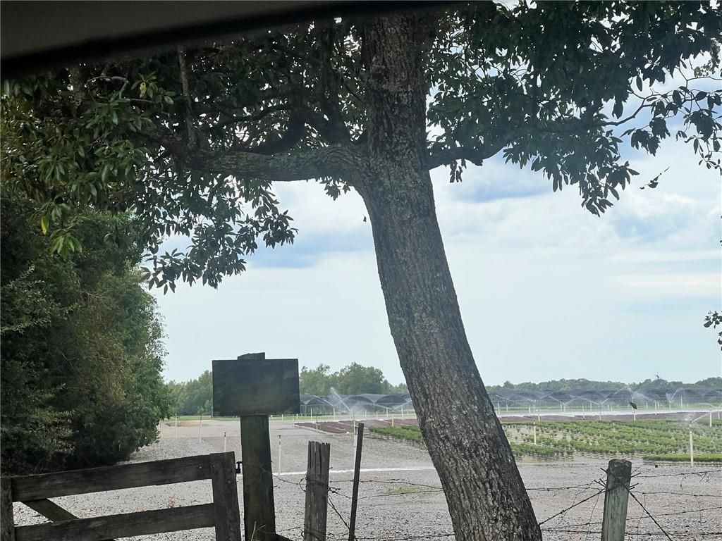 0 Old Pascagoula Road, Grand Bay, AL 36541 — photo 3