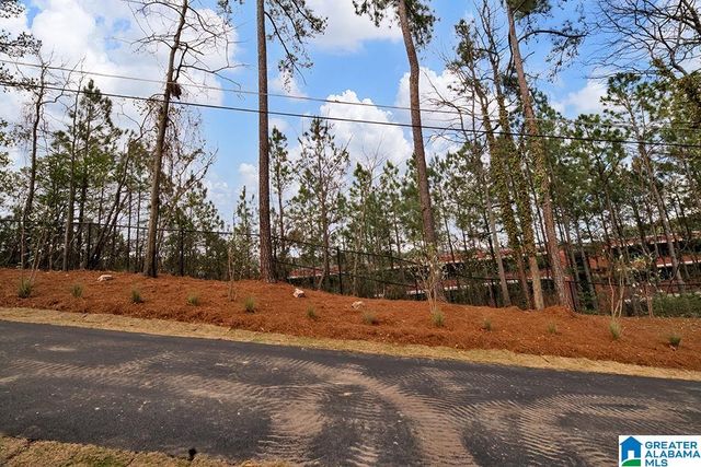 905 FRISCO STREET, Homewood, AL 35209