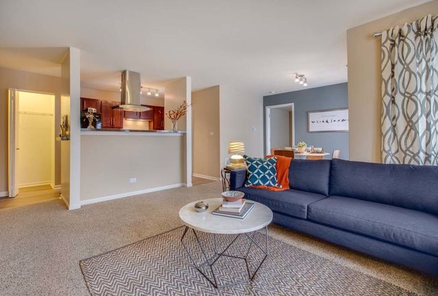 159 MacArthur Drive 3923, Willowbrook, IL 60527