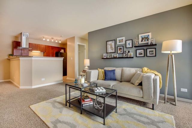 159 MacArthur Drive 3923, Willowbrook, IL 60527