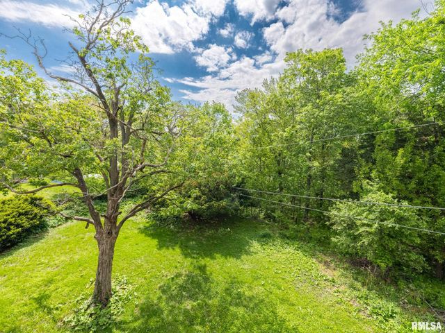 205 N KICKAPOO Terrace, Peoria, IL 61604