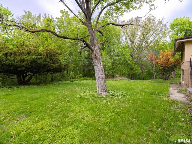 205 N KICKAPOO Terrace, Peoria, IL 61604